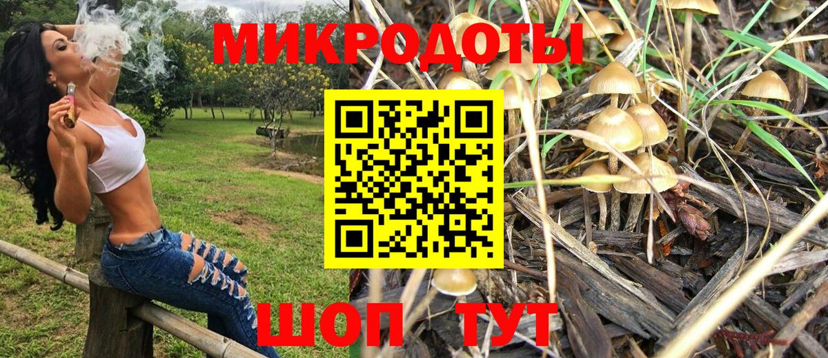 Галлюциногенные грибы прущие грибы Чайковский